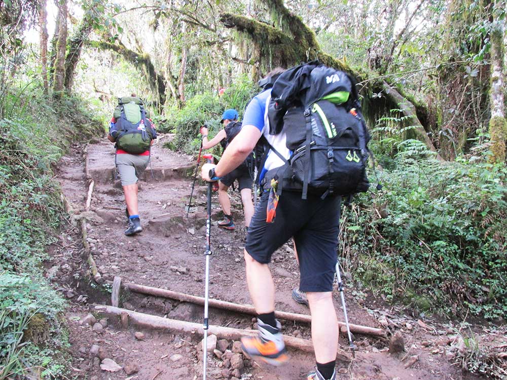 machame route machame