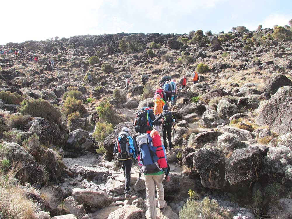 marangu route marangu