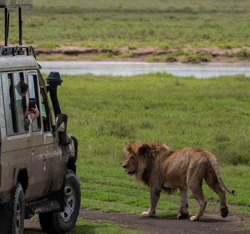 the 4 days safari four days safari