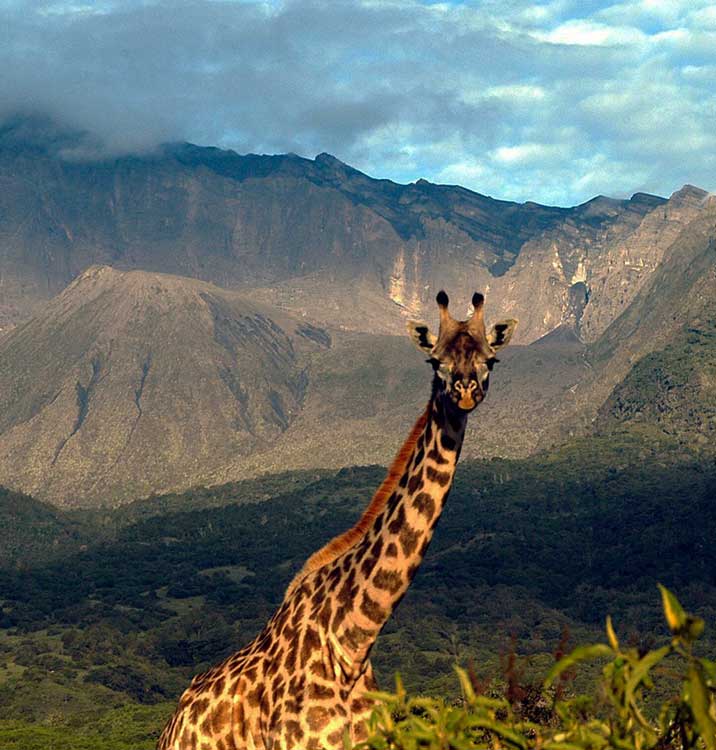 day trip arusha day trip arusha