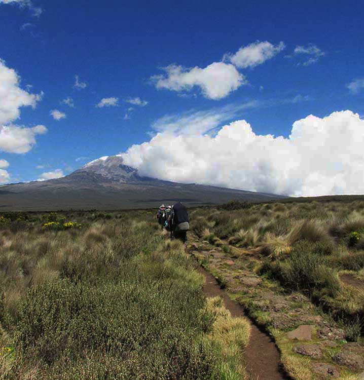 lemosho trail lemosho