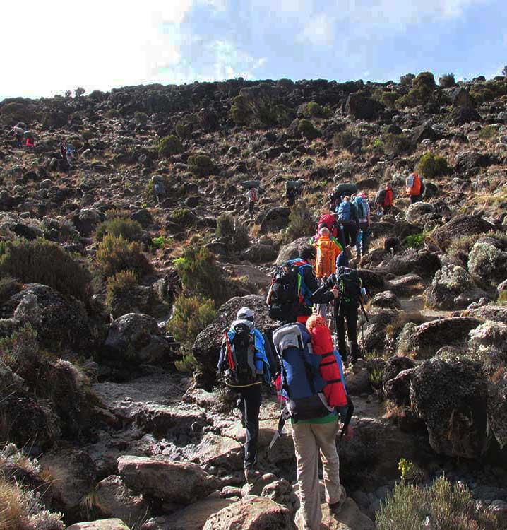 marangu trail marangu