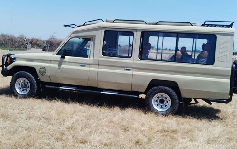 safari vehicle